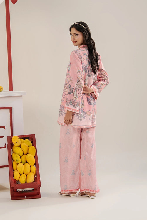 2 Piece Printed Suit - Stitched